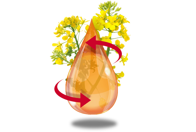 Werking van glycerol